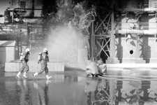 > </div>
<div class=